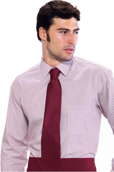 Classic tie - Isacco Bordeaux