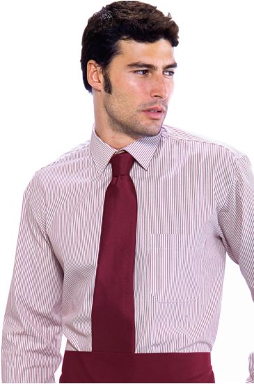 Cravatta classica - Isacco Bordeaux